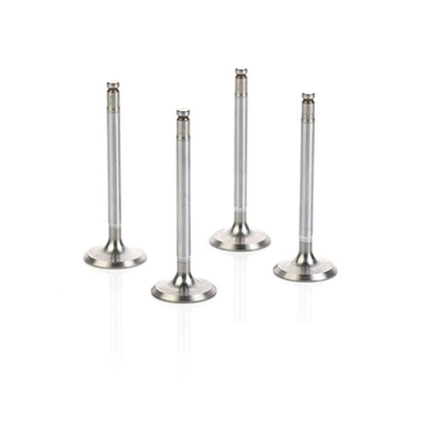 مجموعه سوپاپ دود و هوای موتور XU7-XU7P 405 ایساکو